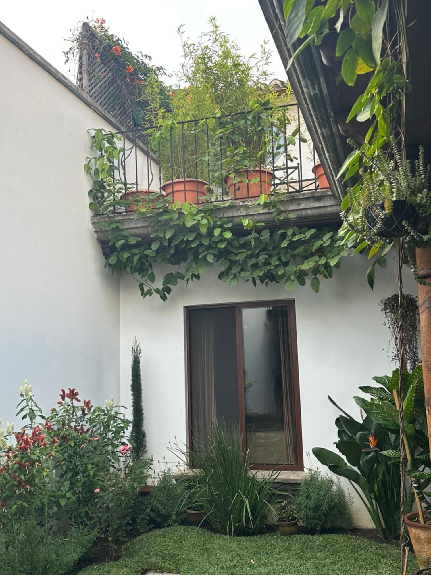Casa Elena Bed and Breakfast Antigua Exteriör bild